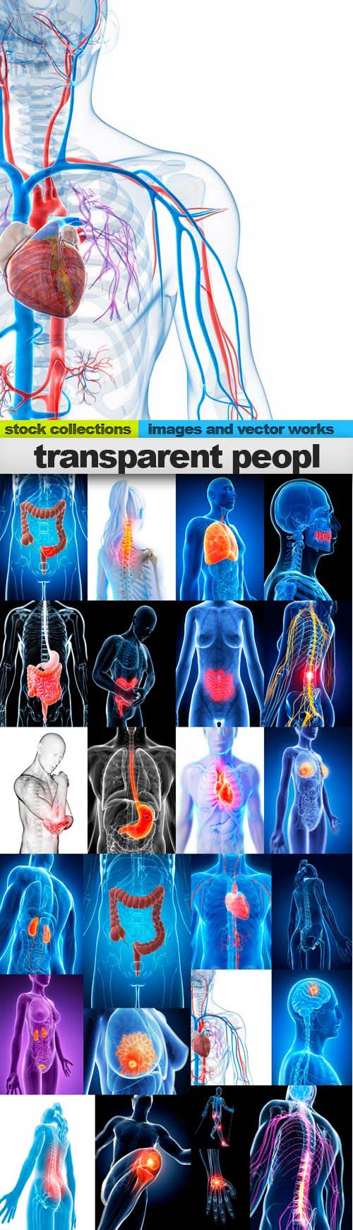 Transparent people,25 x UHQ JPEG
