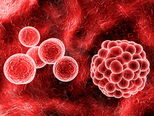 Organism and viruses - 25x JPEGs