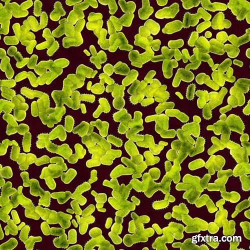 Microorganisms and viruses - 25x JPEGs