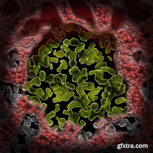 Microorganisms and viruses - 25x JPEGs