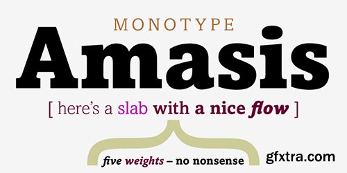 AmasisFont Family - 10 Fonts $290