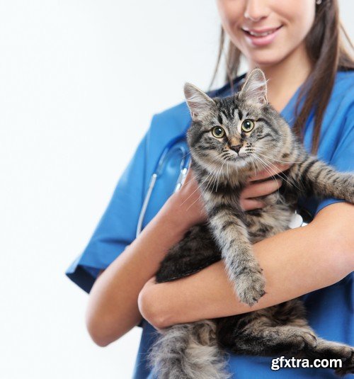 Stock Photos - Veterinarian, 25xJPG