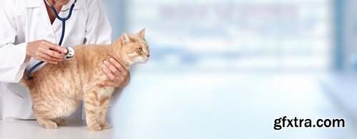 Stock Photos - Veterinarian, 25xJPG