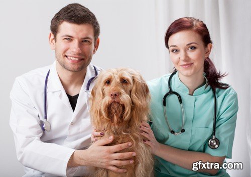 Stock Photos - Veterinarian, 25xJPG