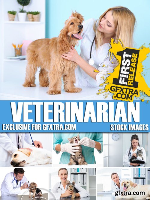 Stock Photos - Veterinarian, 25xJPG