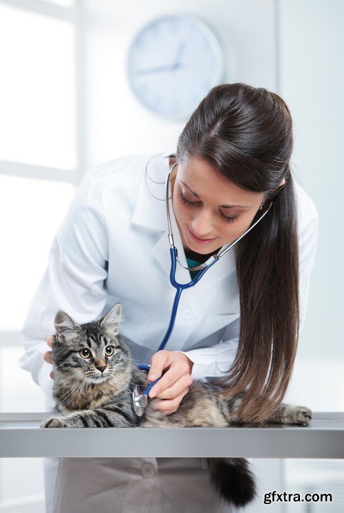 Stock Photos - Veterinarian, 25xJPG