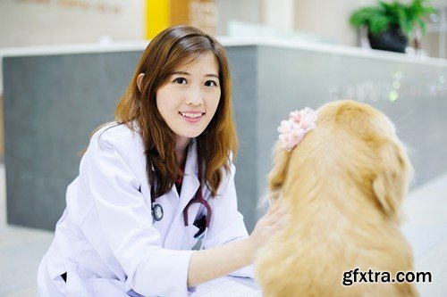 Stock Photos - Veterinarian, 25xJPG