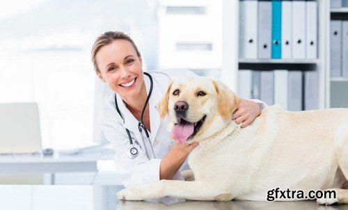 Stock Photos - Veterinarian, 25xJPG