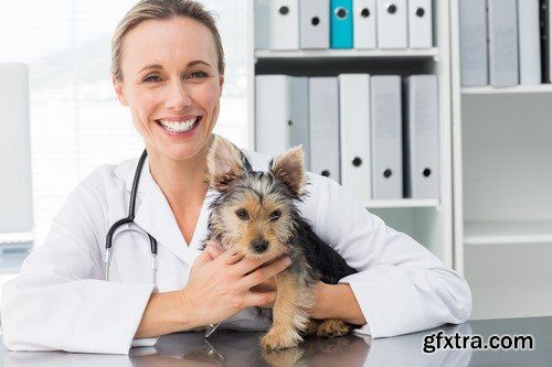 Stock Photos - Veterinarian, 25xJPG