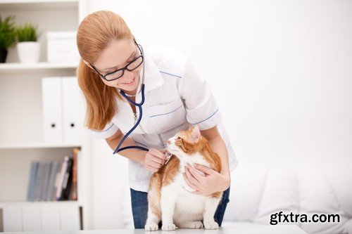 Stock Photos - Veterinarian, 25xJPG