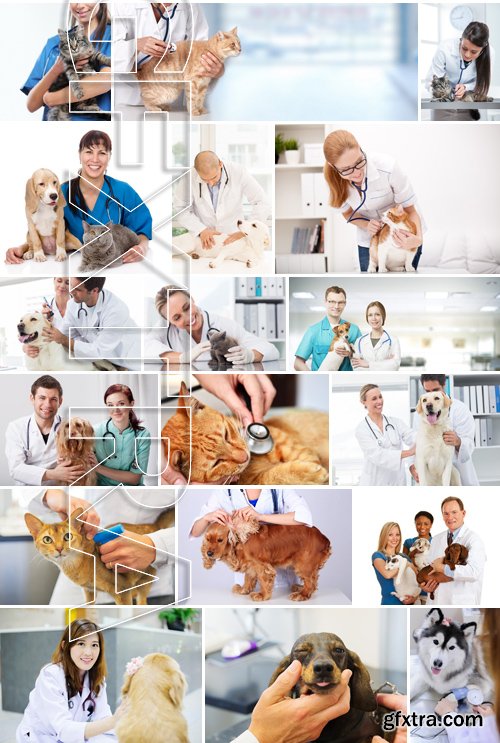 Stock Photos - Veterinarian, 25xJPG