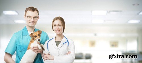 Stock Photos - Veterinarian, 25xJPG