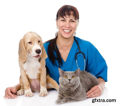 Stock Photos - Veterinarian, 25xJPG