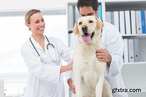 Stock Photos - Veterinarian, 25xJPG