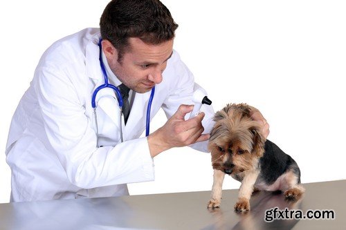 Stock Photos - Veterinarian, 25xJPG