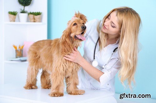 Stock Photos - Veterinarian, 25xJPG