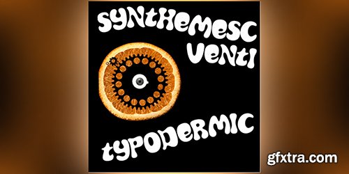 Synthemesc Font - 1 Font $30