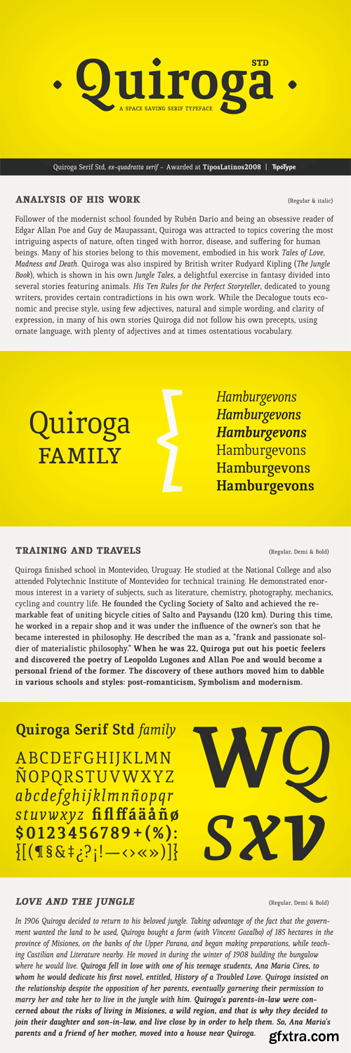 Quiroga Serif Font Family - 6 Fonts for $99