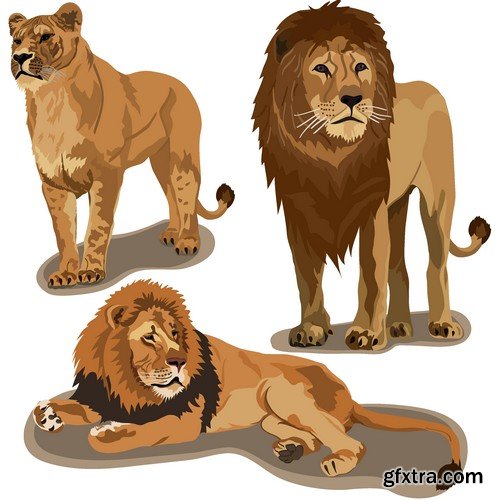 Stock Vectors - Lion, 25xEPS