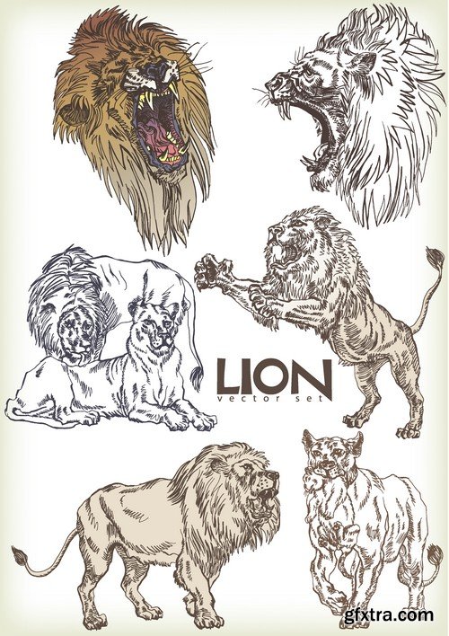 Stock Vectors - Lion, 25xEPS