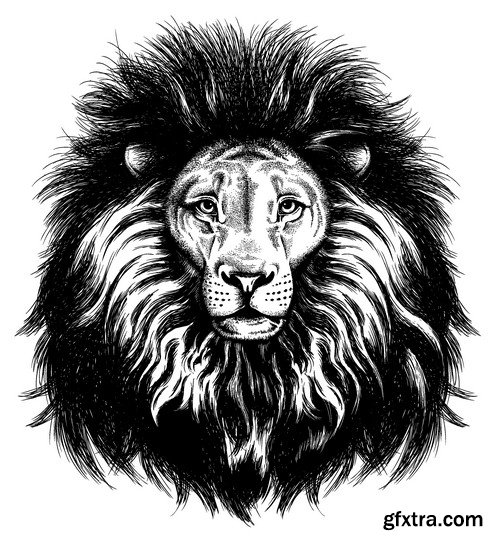 Stock Vectors - Lion, 25xEPS