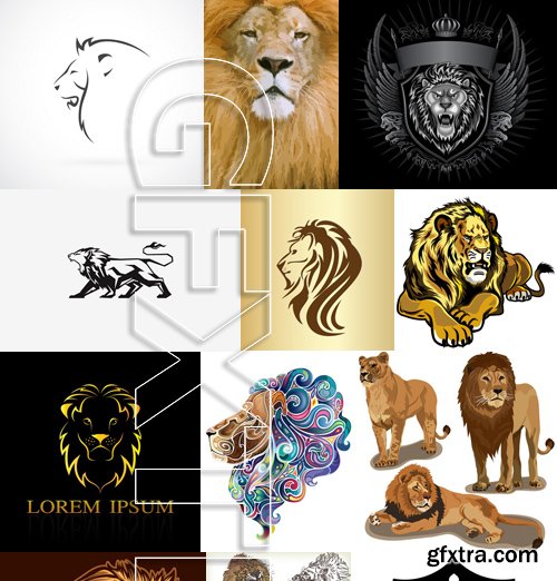 Stock Vectors - Lion, 25xEPS