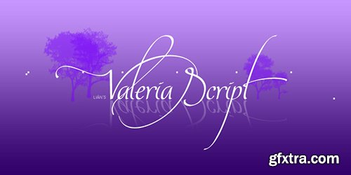 Valeria Script Font Family - 3 Font $52