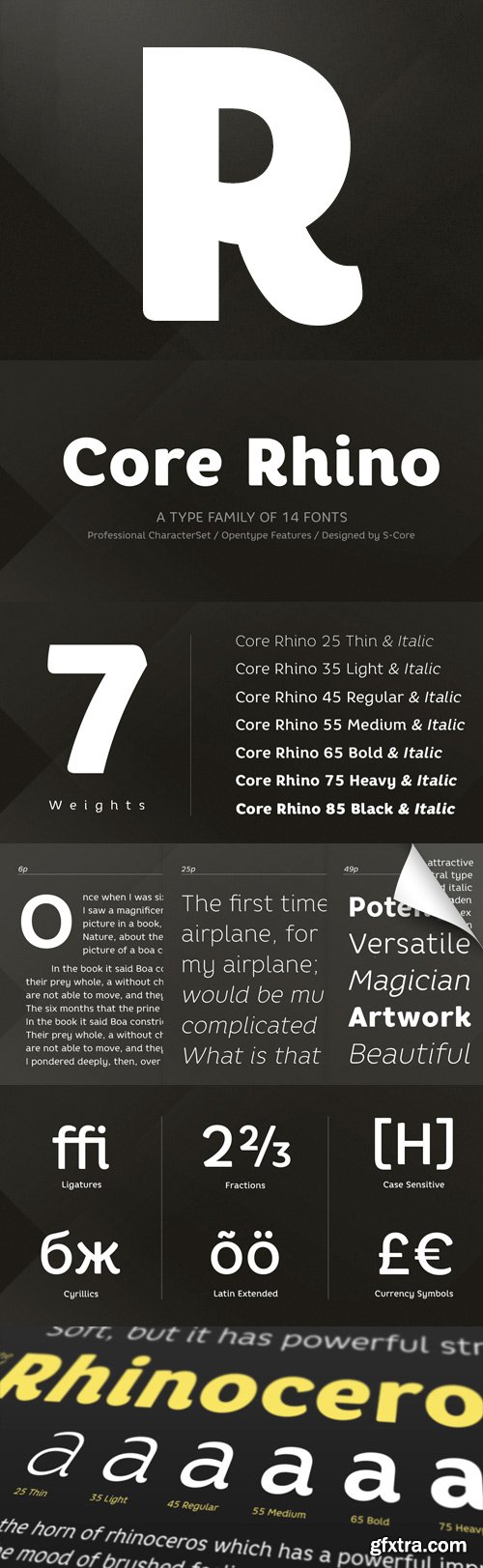 Core Rhino Font Family - 14 Fonts for $203