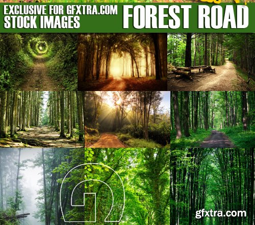 Stock Photos - Forest road, 25xJPG