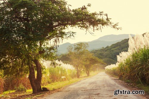 Stock Photos - Forest road, 25xJPG