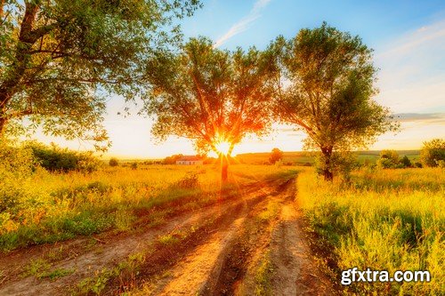 Stock Photos - Forest road, 25xJPG