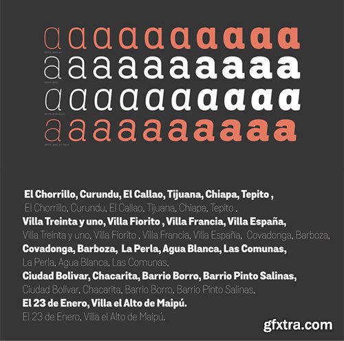 Grota Sans Font Family - 40 Font $1040[