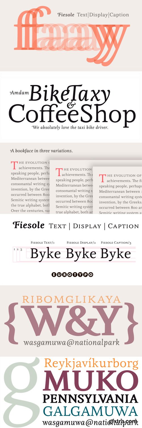 Fiesole Font Family - 17 Fonts for $259