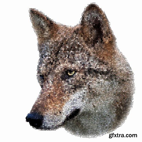 Stock Vectors - Wolf 2, 25xEPS