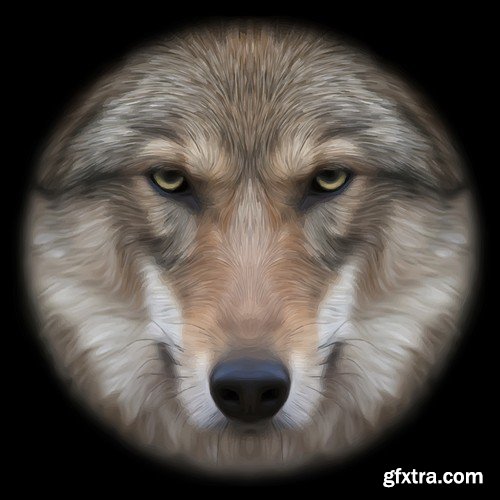 Stock Vectors - Wolf 2, 25xEPS