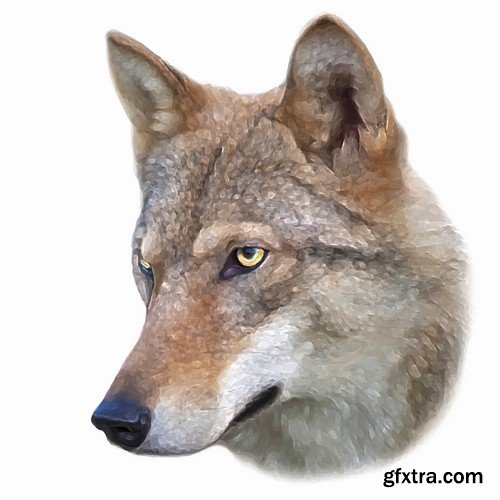 Stock Vectors - Wolf 2, 25xEPS