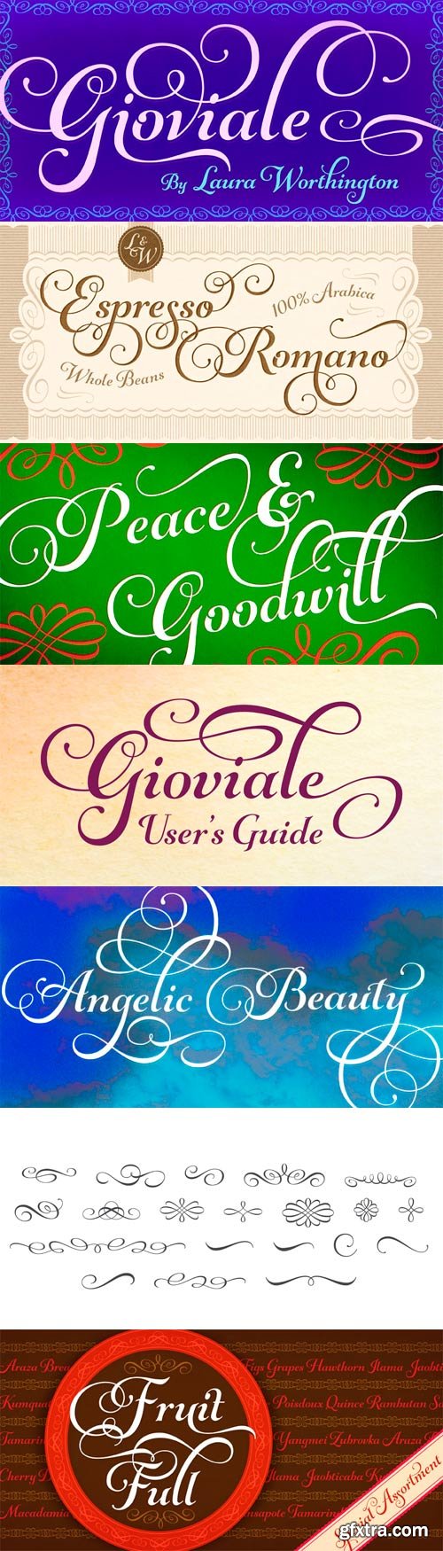 Gioviale Font Family - 2 Fonts for $70