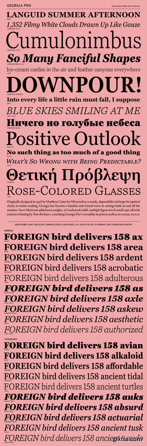 Georgia Pro Font Family - 20 Fonts for $560