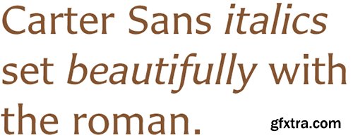 Carter Sans Pro Font Family - 8 Fonts $432