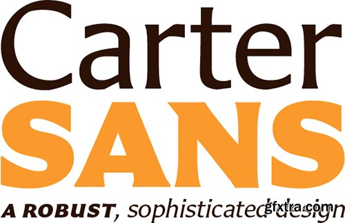 Carter Sans Pro Font Family - 8 Fonts $432