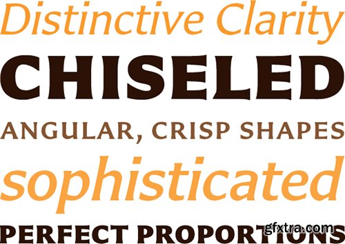 Carter Sans Pro Font Family - 8 Fonts $432