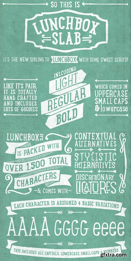 LunchBox Slab Font Family - 4 Fonts $100