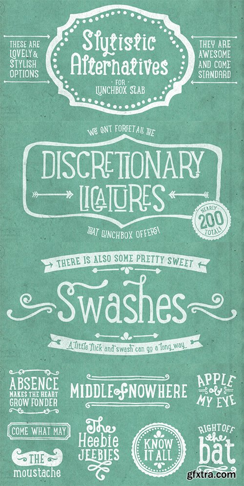 LunchBox Slab Font Family - 4 Fonts $100