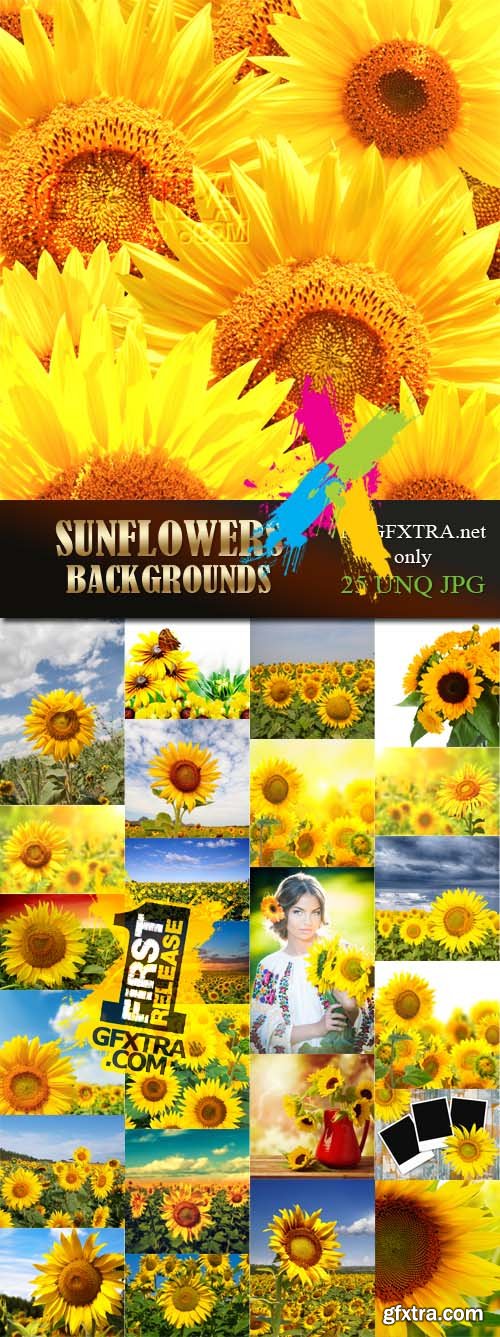 Sunflowers backgrounds, 25xJPG