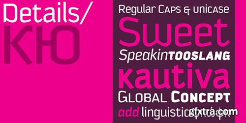 Kautiva Font Family - 5 Fonts $495