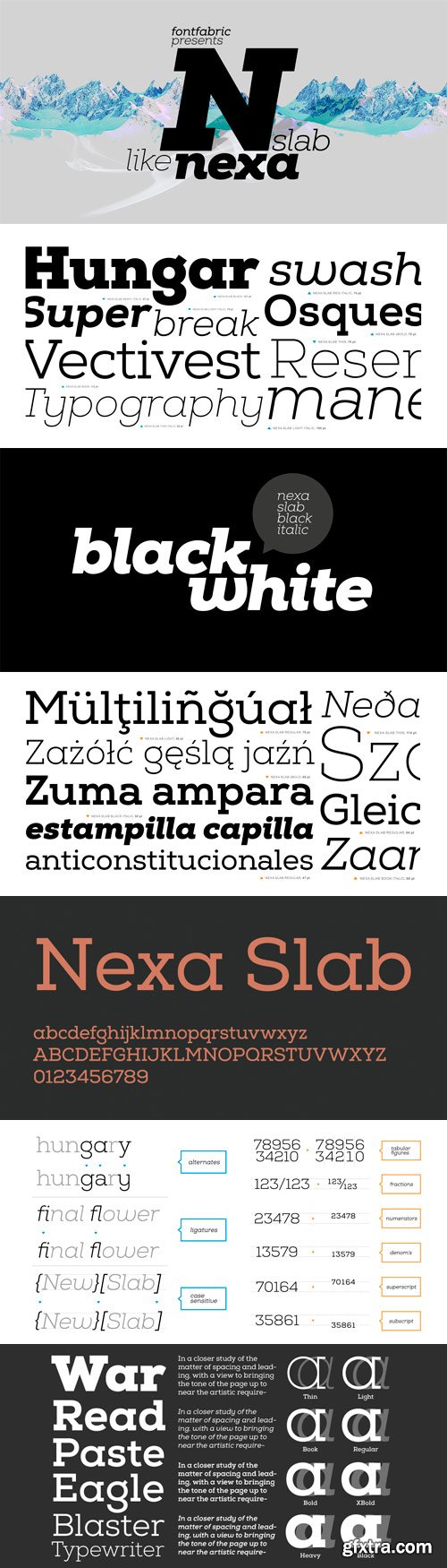 Nexa Slab Font Family - 24 Fonts for $99