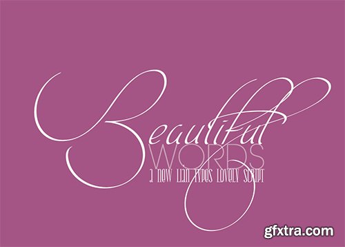 Intima Script Font Family - 3 Fonts $60