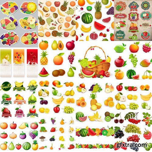 Fruits Collection - 25 Vector