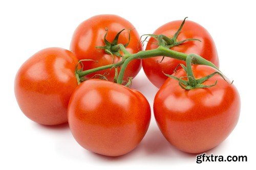 Stock Photos - Tomatoes, 25xJPG