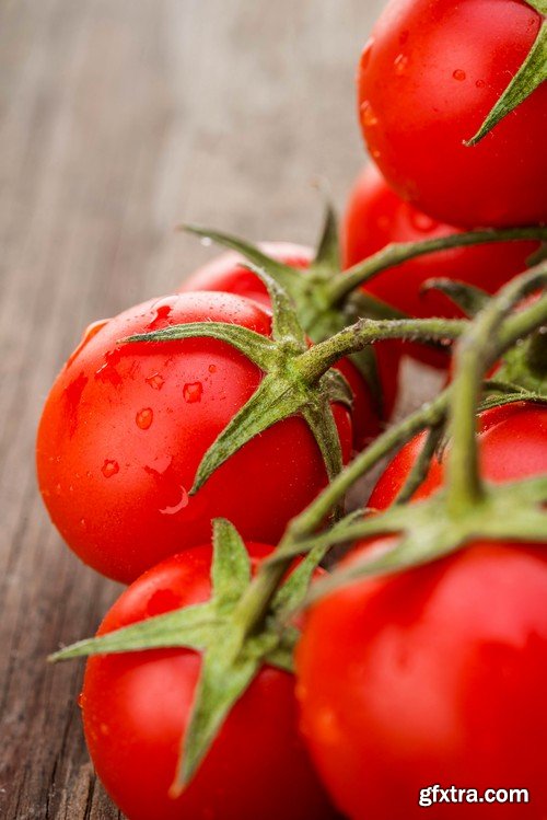 Stock Photos - Tomatoes, 25xJPG